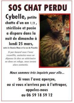 cybelle-25032012-villierssurmorin.jpg