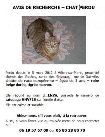 enya-06032012-villierssurmorin.jpg