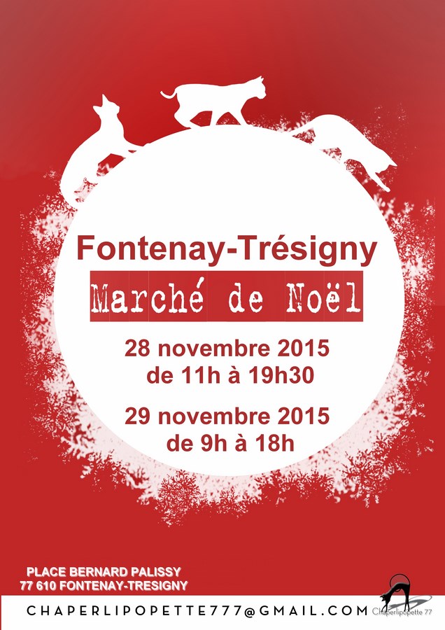 Fontenay tresigny noel 2015 copier