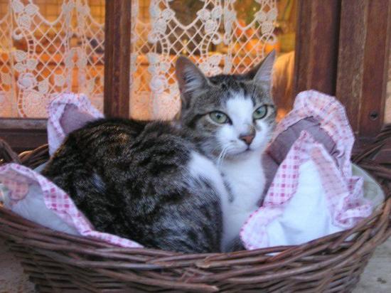 hermione-17062012.jpg