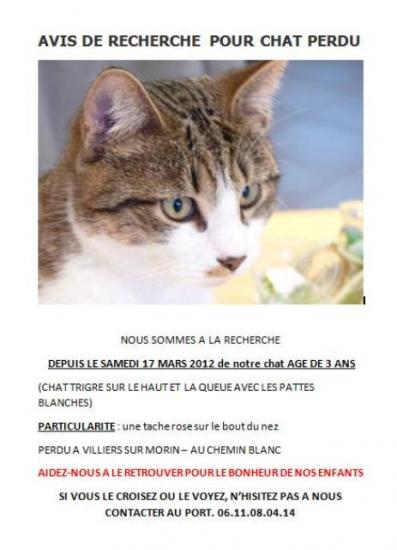 scoubidou-7032012-villierssurmorin.jpg